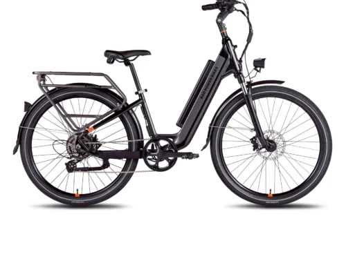 RadCity 5 Plus Step-Thru